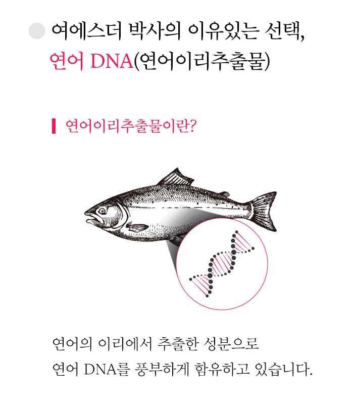 Elastin DNA 7X Jelly