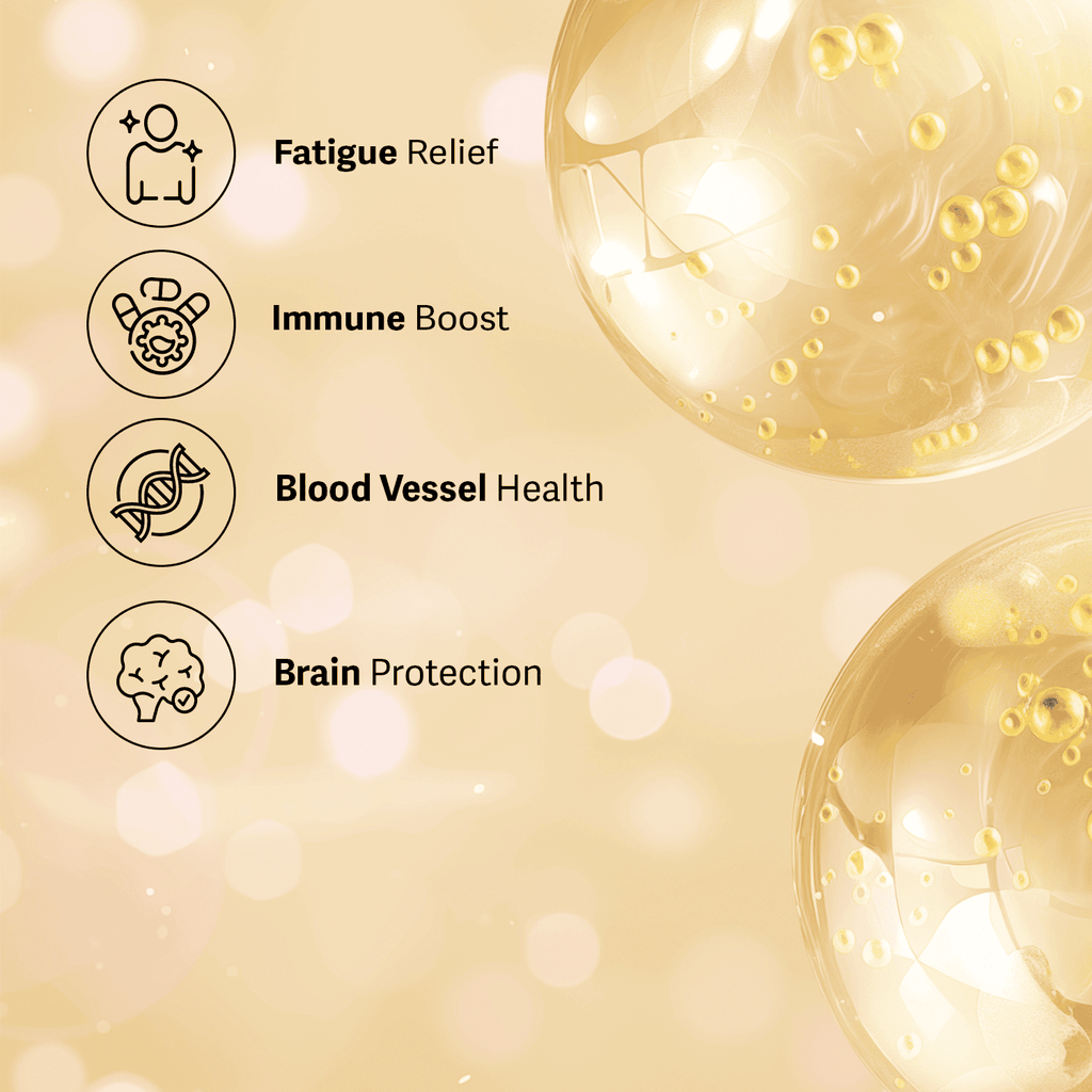 SAC Fermented Black Garlic Direct