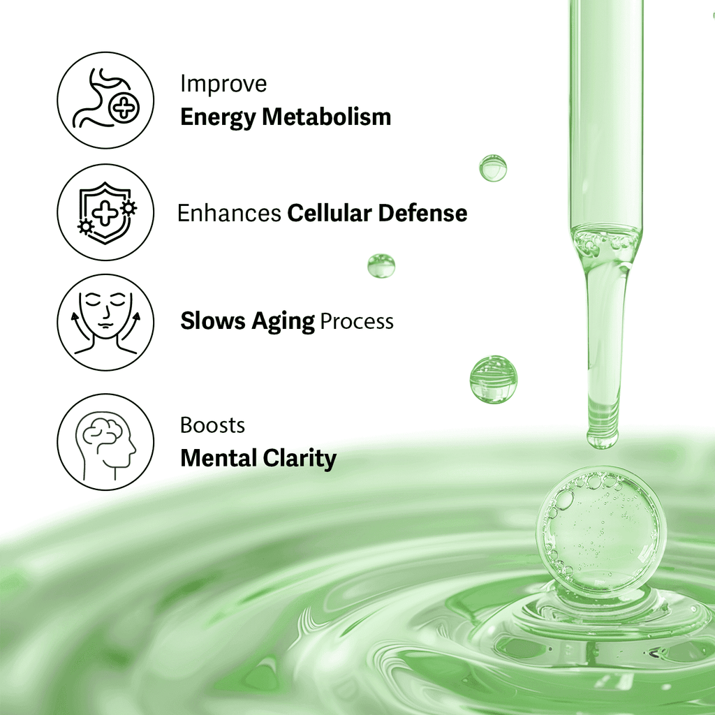 [Limited Stock] NMN Phytos 2X