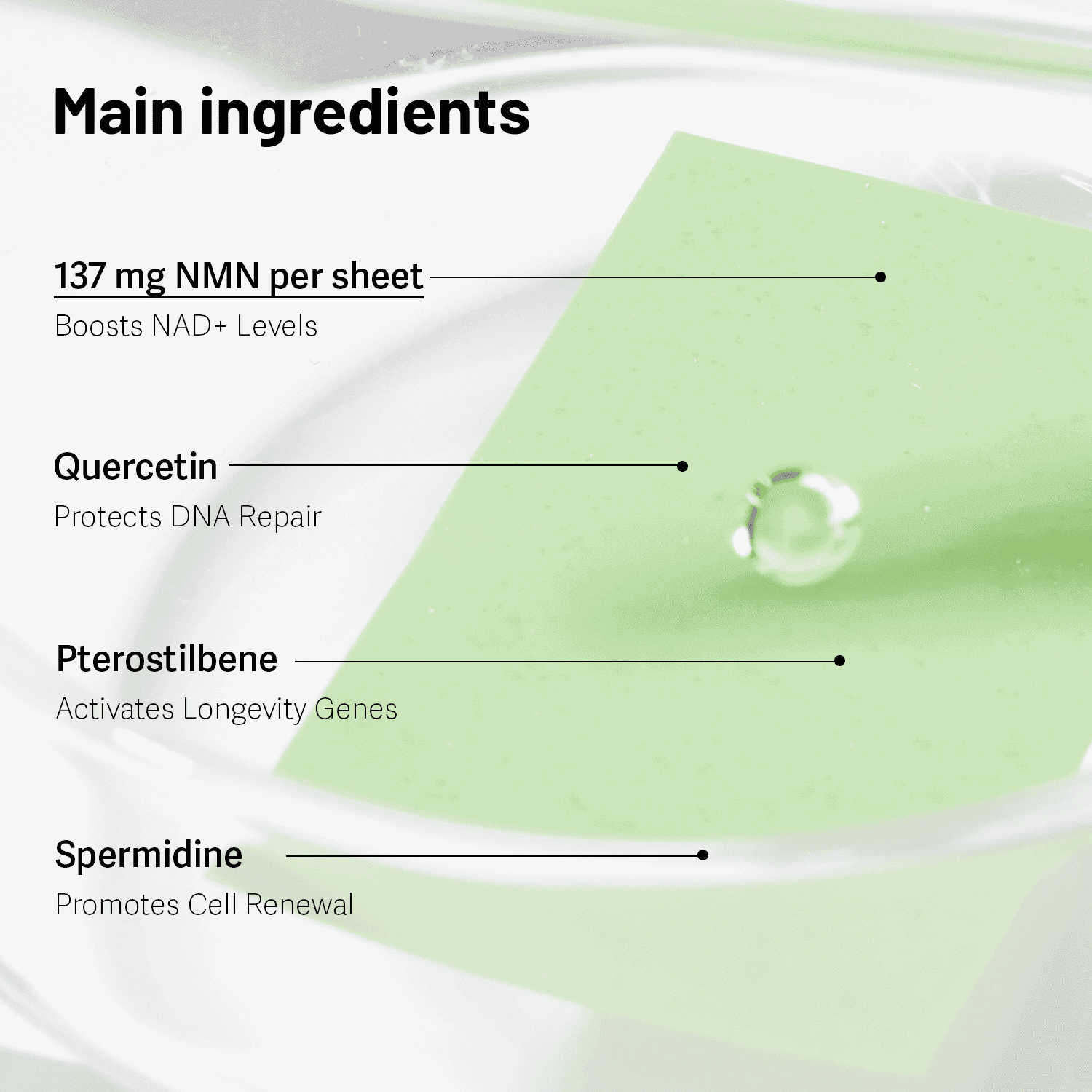 [Special Deal] NMN Phytos 2X • 6-Month Supply