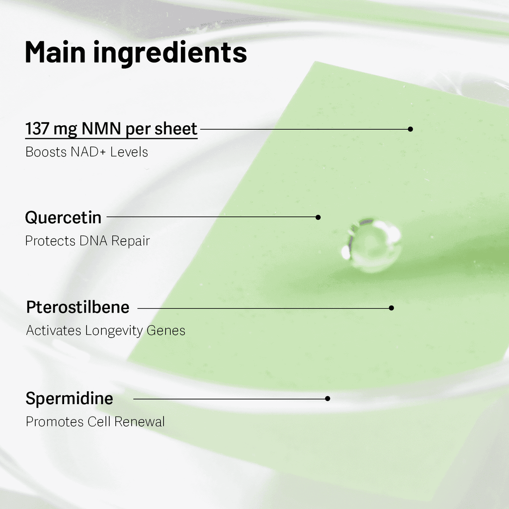 [Special Deal] NMN Phytos 2X • 12-Month Supply